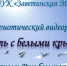 Патриотический видеоролик «Память с белыми крыльями» - Заветинский район