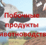 Побочные продукты животноводства - Заветинский район