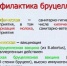 ПРОФИЛАКТИКА БРУЦЕЛЛЕЗА - ЗАБОТА ОБЩАЯ - Заветинский район