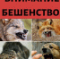 БЕШЕНСТВО! РАСПРОСТРАНЕНИЕ ПРОДОЛЖАЕТСЯ! - Заветинский район