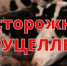 Информация по бруцеллезу - Заветинский район