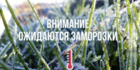 Внимание!!! Заморозки!!! - Заветинский район